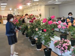 ���D�҂炪���X�ɖK���A�F�{�΂��́u�t�̂΂�W�v