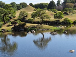 �N�₩�Ȍi�F�̐��O������(���A��)