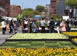 322͍DVɌb܂A吨̎sԒdɋlߊ|Ă