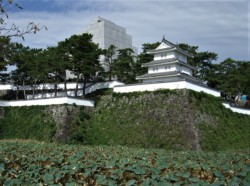 B3KE̍̓Vt͉CHŃV[gɕĂ