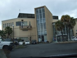 傤4NԂ(Ⴂ)ɖKꂽXpE^\V