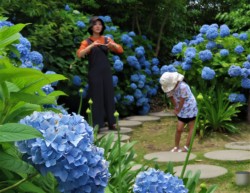  TN}`N}g̉K[fŃAWTCyސeq