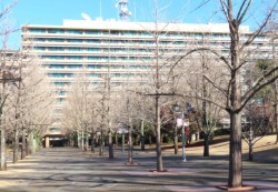 �F�{�s�����搅�O��6���ڂ̌F�{�����{��