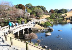 �؁X�̗΂��Ζʂɉf���āA���������O������