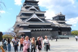 �F�{��{�ۍL��B�O���l�ό��q�������吨���Ă���