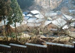 ��i�F�����������쉷��E�u��̉ԁv���