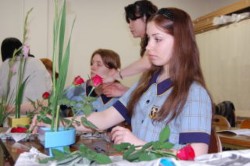 ���[�e���w�@���Z�ŉؓ���̌�����C���}�j���G���E�J���b�W�̐��k