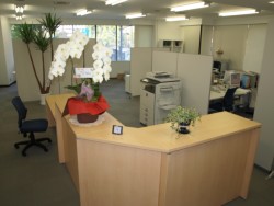 �����R�����ڂ̎������J�݂ƂȂ�