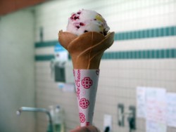 �V���i�u�W���G���[�t���[�c�A�C�X�v�B�J���t���ȉʕ�����������ł���