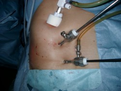 �ւ����Ɖ������̂Q�J����؊J���A�����̓�������|���v���s�������̃��b�V����p���C������TEP�@