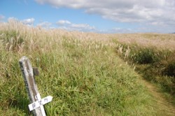 �X�X�L�̕�ƏH�󂪔������R���g���X�g��������