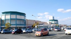 �n���[�O���[���G�u���[���o�X����F�y�V�e�B�i�F�y�s�P�������j