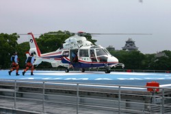 �U���P�S���A�P���̂��ߌF�{��ÃZ���^�[�ɏ��򗈂����u�Ђ΂�v�B���@�͌F�{��`���瓯�Z���^�[�܂Ŗ�T���A�V���s���[���܂Ŗ�Q�T���Ō���