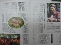 �_�Ƃ����[���e�[�}�ɁA���y�A�A�[�g�Ȃǂ̕����I�ȏ��̂ق��A�ߐH�Z�Ɋւ�������f�ځB�ʐ^�͑n���������̓��W��P��