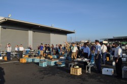 �����͖�P�Q�O�l���Q��