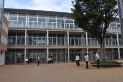 �@���̂قǑ��z�H�������������F�{�}���X�g�w���B����̓E�b�h�f�b�L�d�l�ɂ��A���k�����̌e���̏�Ƃ���