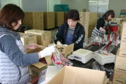 �P�P�����o�ׂ̃s�[�N�ƂȂ�T�c�}�C���B��Ò����̃p�b�P�[�W�Z���^�[�ł͏o�׍�Ƃɒǂ��Ă���