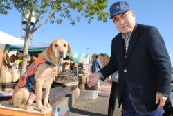 �������������~�����v�����Ƌ�B�~���������̑���Д����c