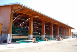 ���̂قǊ��������V���ގ{�݃��C��