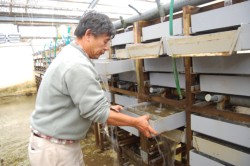 FU�o�C�I�J���`���[���J�����������g��Ȃ��A�T���̗{�B�Z�p�B�P�[�X�������o���΍݌ɂ������m�F�ł���