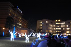 �a�@�~�n���ɖ�70���̂k�d�c�A��130�̃I�u�W�F��ݒu���Ă���u���\���T���N�X�E�C���~�l�[�V����2012�v