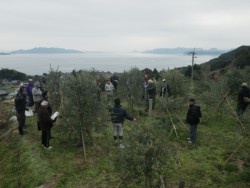 �V���s�q�x���ŊJ���ꂽ�I���[�u�͔̍|�҂�Ώۂɂ������C��