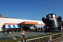 �����͌F�{�s������{�R���̋����قŊJ��