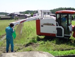 ����B�N�{�^�̗L���_��i�V���s�j�ł̃\�o���n���