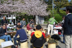 ����𒴂��𗬂�[�߂鎇����̉��