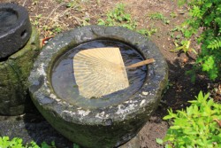 ���ɐZ���Ă��j��Ȃ�������u�J�j�����P�Y�v�i���́j