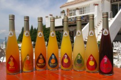 �S�X��ނ́u��B�t���[�c�V���b�v�v