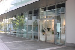 �t���q���Y�P�K�̐V������