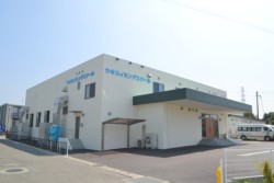 �F�y�s���R���Ɋ������A�X���Q���ɃI�[�v�������u�E�L�X�C�~���O�X�N�[���v