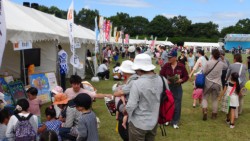 �Ƒ��A��Ȃǂłɂ��키�H�Ղ���