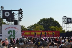 �����͖�P�O�O�O�l�����ꂵ���u�W���j�A�_���X�X�N�[���_���X�t�F�X�h���F�{��v