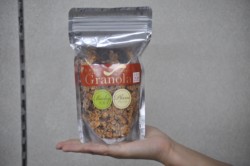 �ʐ^�̓X�^���h�p�b�N�^�C�v