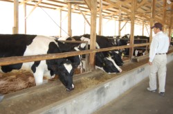 �e�r�s���u�ɂ���JA�e�r�����������̋g�ǎ�������̋��ɂŎ����p�Ă�H�ׂ邦���ߋ��B�u�X�܂ɂ���Ă͔���؂�邱�Ƃ�����B�Ă��������Ă��邱�Ƃł��܂ݐ������܂܂�A�����݂������_�炩���v�i�g�ǂ���j