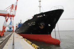 ����C�^�̃R���e�i�D���┑����F�{�`�B���݁A�F�{�|���R�Ԃ��T�Q�։^�q����