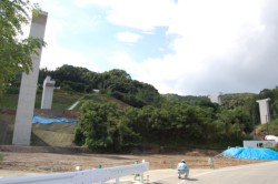 �F�{������ɂȂ���ԉ��C���^�[���̋��r�i����ԉ��V���ځj