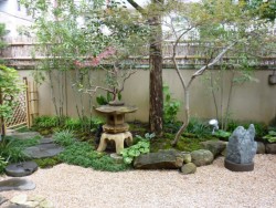 �q�Ԃ��猩����a���뉀