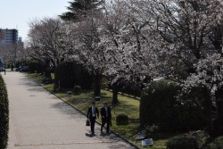 JR�L��������ɐA�͂��ꂽ�\���C���V�m10�{�����C�g�A�b�v���Ă���