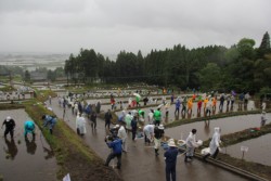 �I�c�œc�A��������Q���҂���