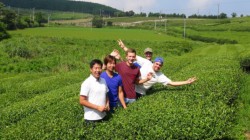 ����ʂɍL����Δ�n��̒����B������V��_�В��A�V���������2�`�R�J���̗\��Ō��C���󂯂Ă��錤�C������