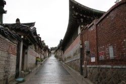 ����ʂ̊؉����������Ԗk���؉���