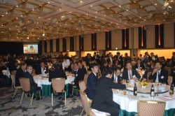 �֌W��500�l���o�Ȃ��������В��̎В��A�C��I��