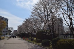 JR�L��������ɐA�͂��ꂽ�\���C���V�m12�{�����C�g�A�b�v���Ă���