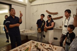 ��q���Ƃ̑��l�Ȕ�U�̌`�Ԃ�������钷�싳��