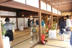 ���������͋C�̒��ŁA�G�ߊ������i���Ϗ܂��闈��҂���