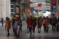 �J�̒�230�l���F�{�s���S���������