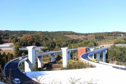 �ԉ��C���^�[�t�߂̃����v���B�����̋��r���r��C���^�[�֐L�т�{���B